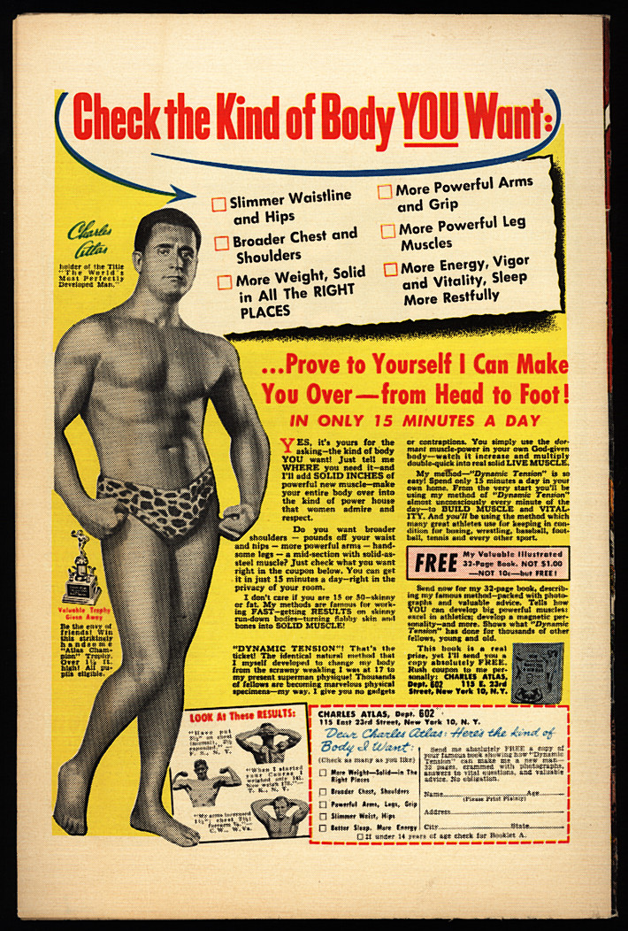 Back Cover Image