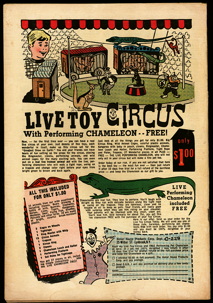 Back Cover Image