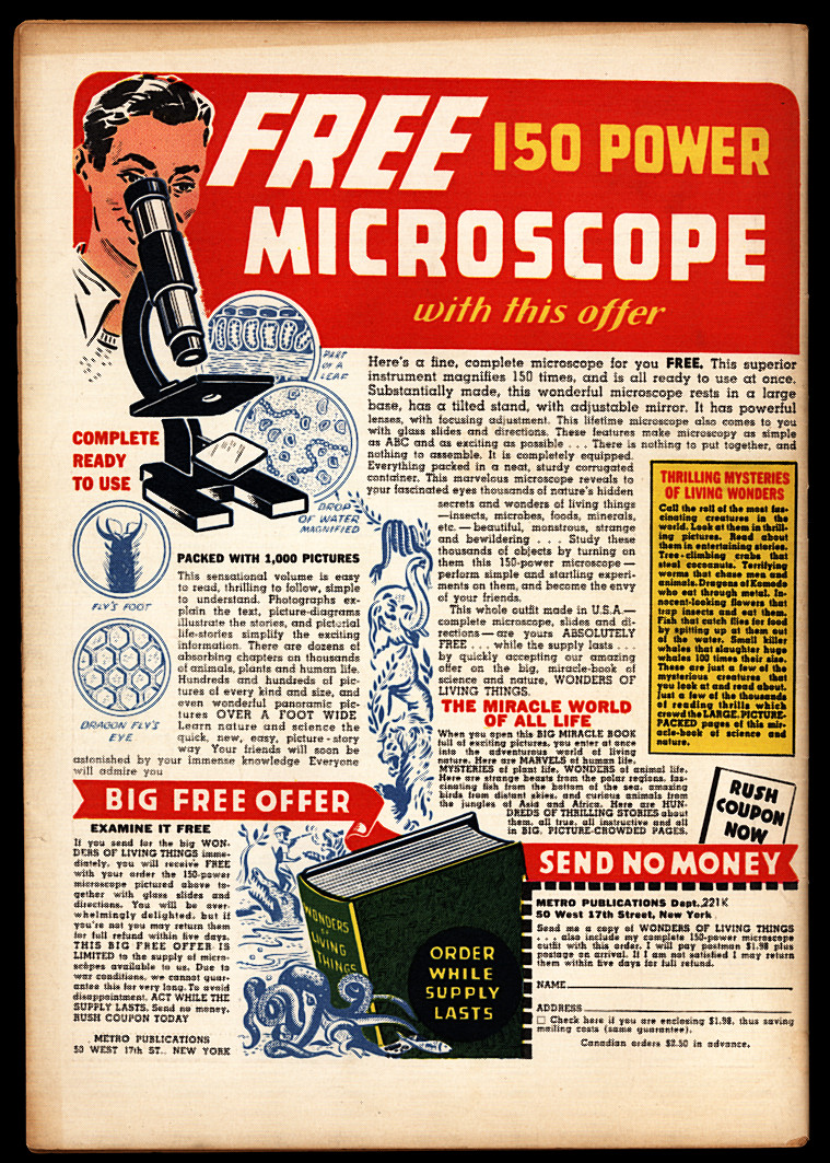 Back Cover Image