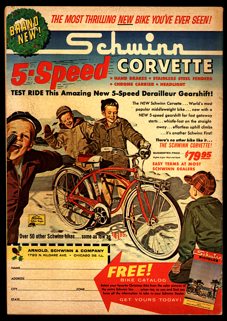 Back Cover Image
