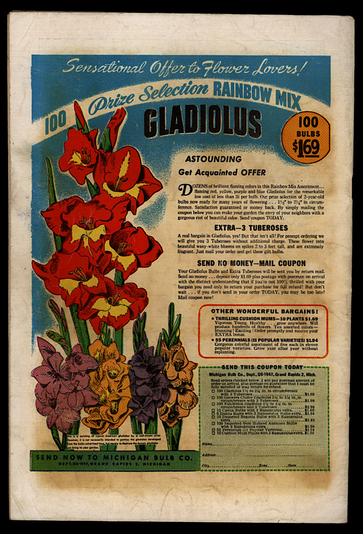 Back Cover Image