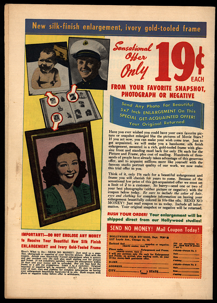 Back Cover Image